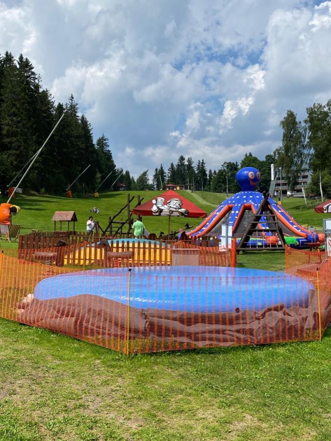 Pension & Restaurant Krakonos Гаррахов Экстерьер фото